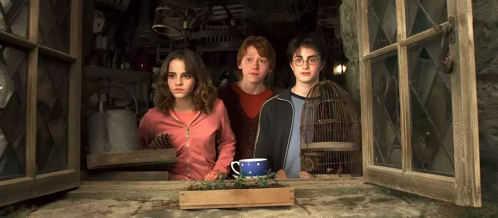 Test: Kateri lik iz Harryja Potterja si, Albus Dumbledore ali Temni Gospod?
